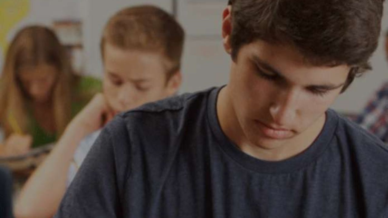 160 voluntarios impartirán las sesiones. El programa combina las sesiones presenciales con las reuniones online para llegar a una mayor cantidad de centros educativos.