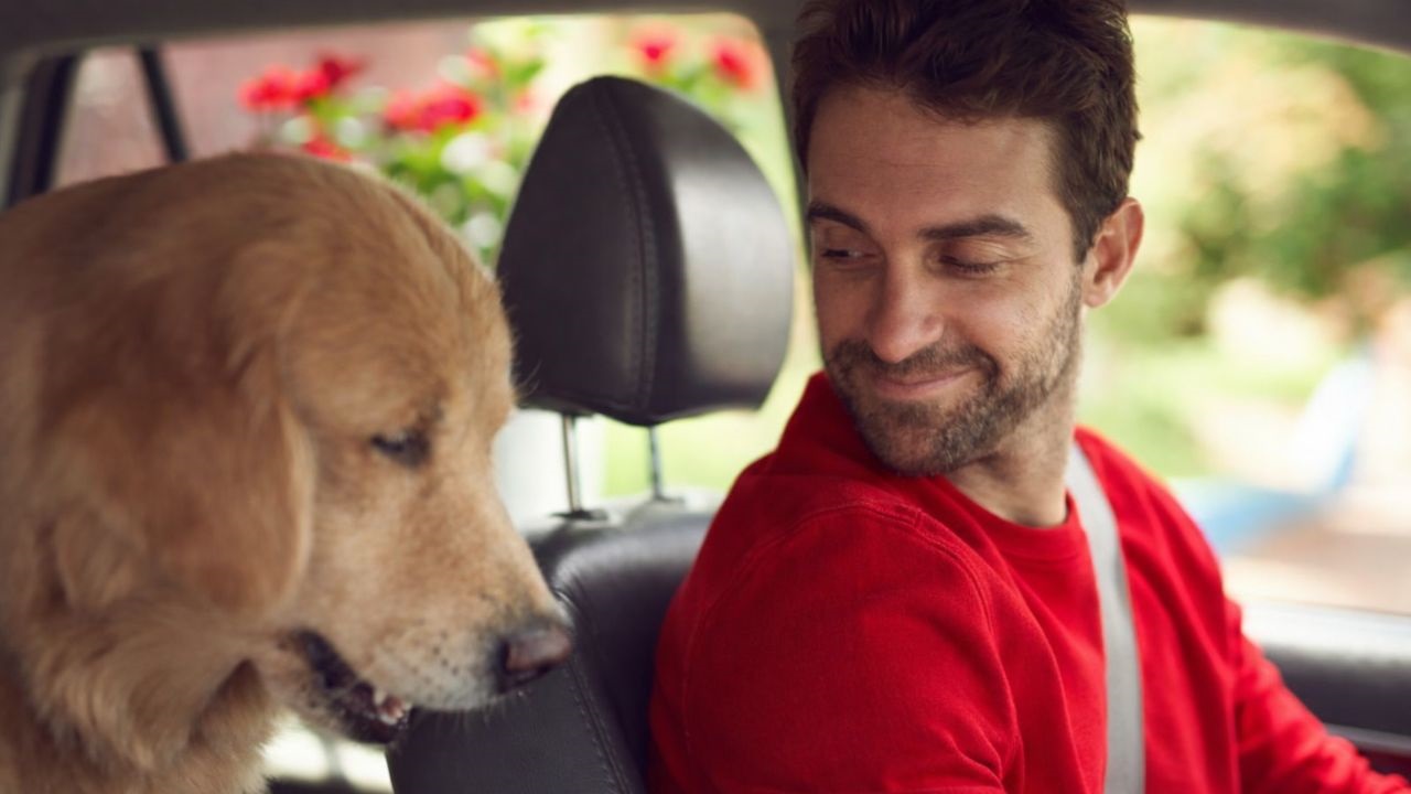 Especialistas de la compañía brindan una serie de consejos a tener en cuenta a la hora de viajar con las mascotas en el vehículo.