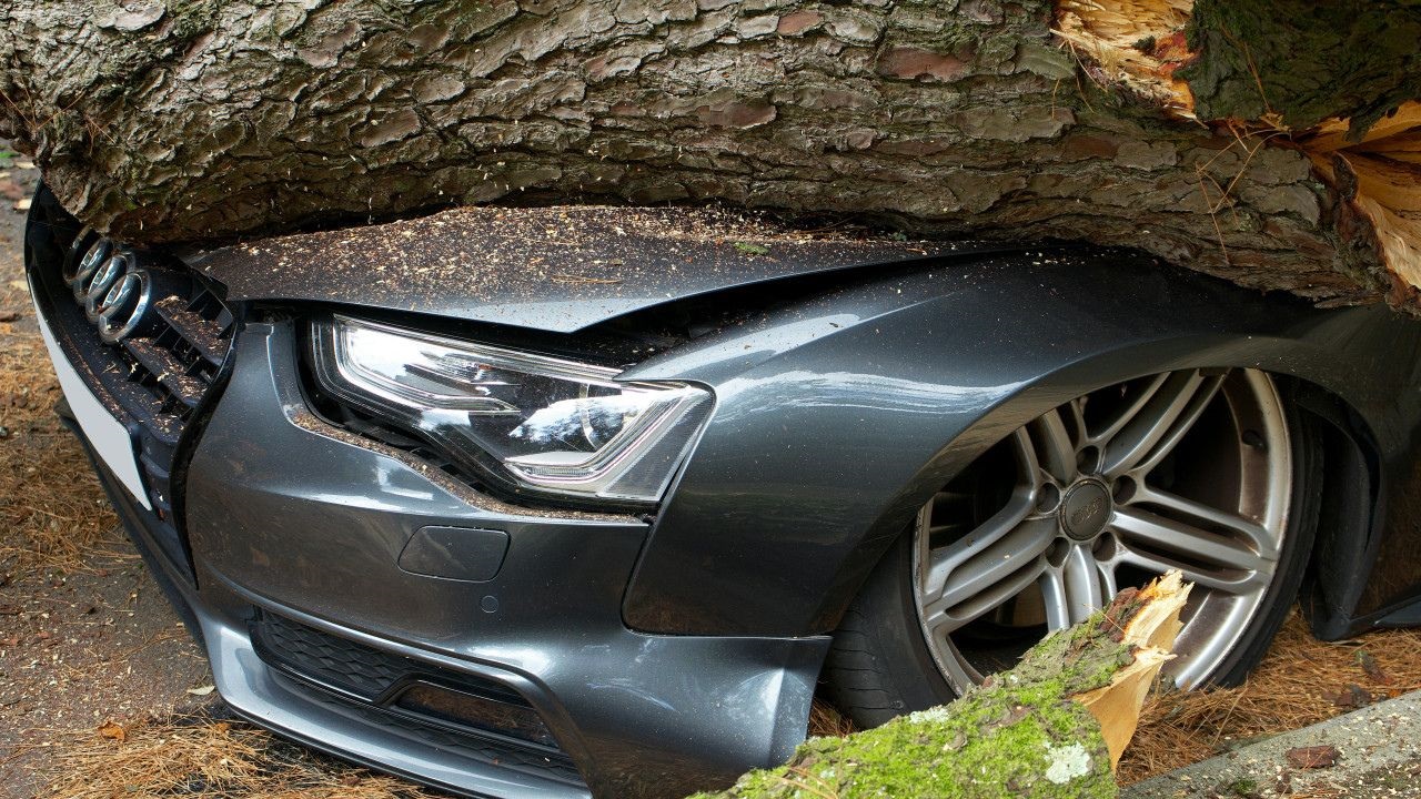 La Cámara Nacional de Apelaciones en lo Comercial confirmó el rechazo de la demanda de una empresa contra una aseguradora al considerar que los daños sufridos por un vehículo no alcanzaban el porcentaje requerido por la póliza para configurar destrucción total.