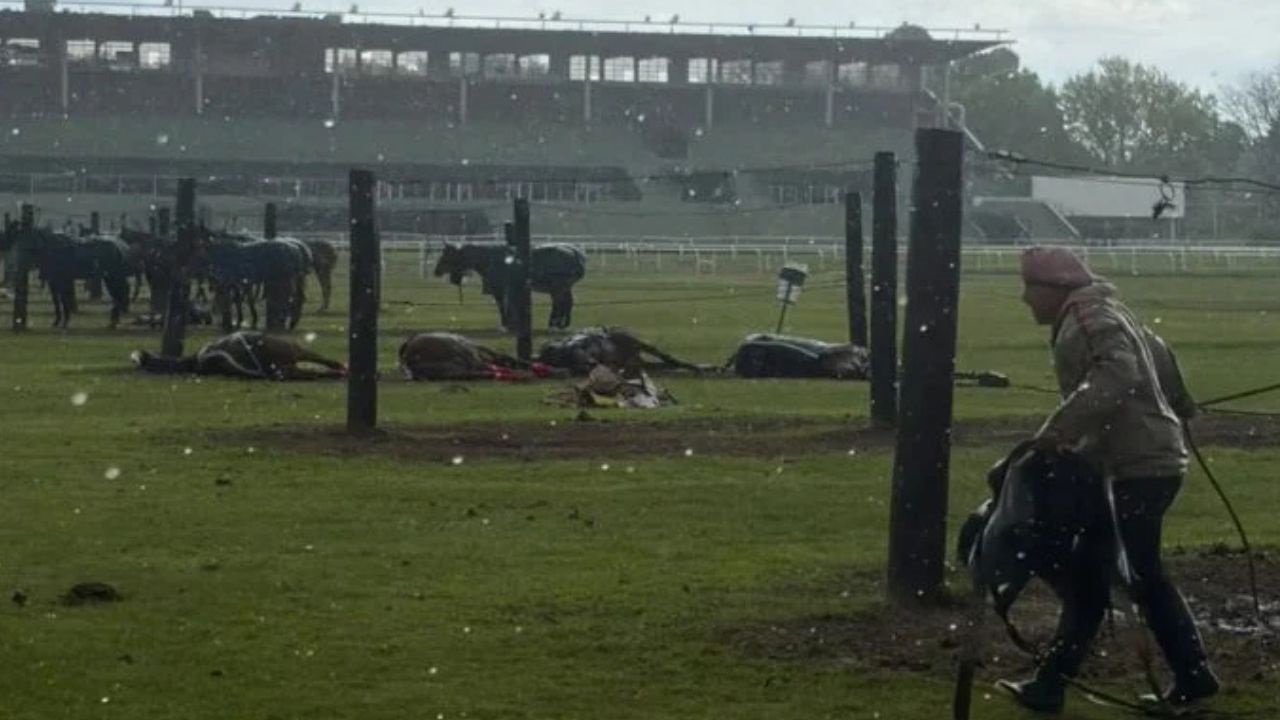 Un dramático episodio ocurrió este miércoles por la mañana en el predio del Jockey Club de San Isidro, cuando la caída de un rayo en medio de las intensas lluvias en el AMBA provocado la muerte de cuatro yeguas de polo y afectó a otros dos equinos.